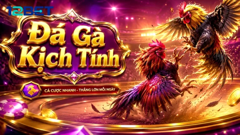 12BETVNMOM 02 Kinh Nghiệm Bản Đối Chiếu — Bảng Bảo Mật Cho Tài Khoản Và