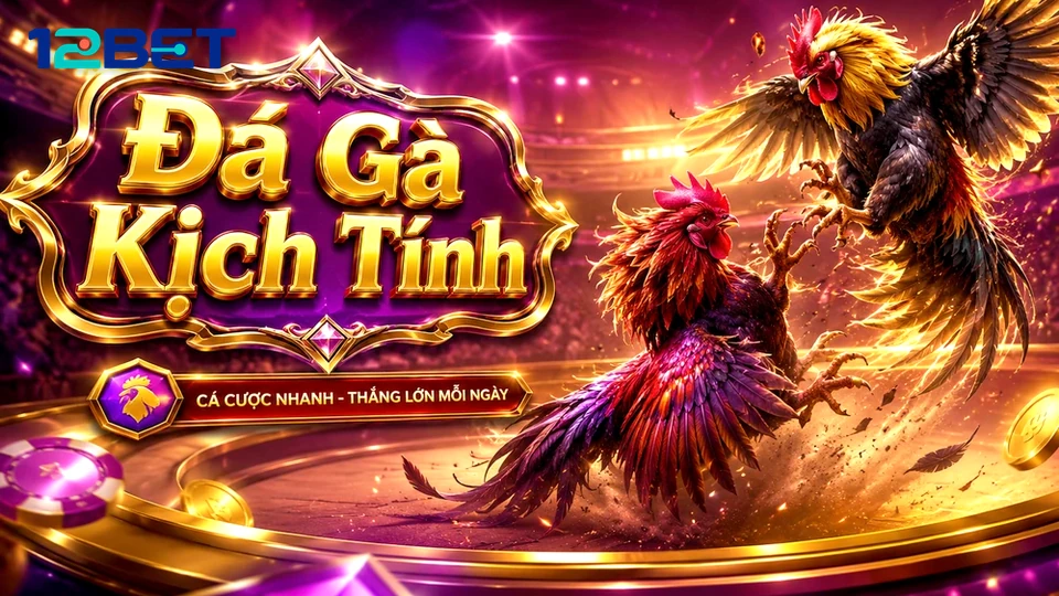 12BETVNMOM 02 Kinh Nghiệm Bản Đối Chiếu — Bảng Bảo Mật Cho Tài Khoản Và