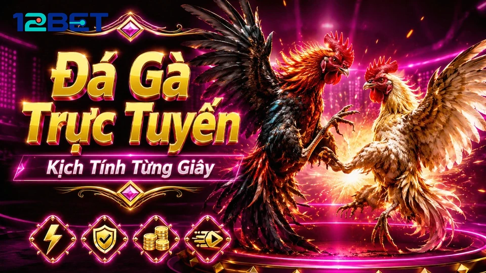 12BETVNMOM 03 Kinh Nghiệm Hồ Sơ Kiểm Chứng — Hướng Dẫn Quản Lý Ngân Sách