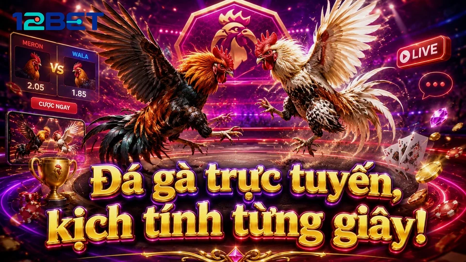 12BETVNMOM 04 Kinh Nghiệm Khung Phân Tích — Phân Biệt Dữ Kiện Thực Với Hiệu