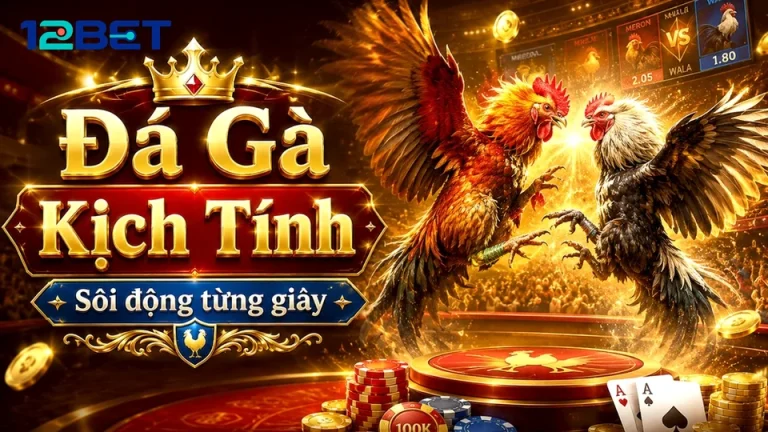 Hiểu Đúng Giới Hạn Khi Theo Dõi Phiên Đá Gà Trực Tuyến 12BET