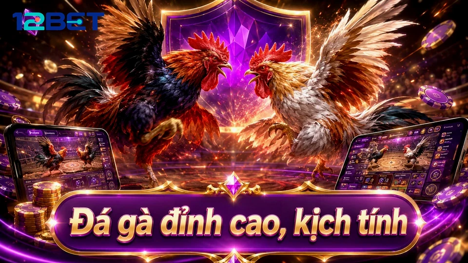 Tưởng phiên đá gà trực tuyến tự reset là sai lầm quản lý casino