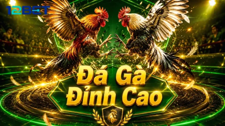 12BETVNMOM 08 Kinh Nghiệm Góc Đọc Hiểu — Đối Chiếu Hướng Dẫn Với Tình Huống
