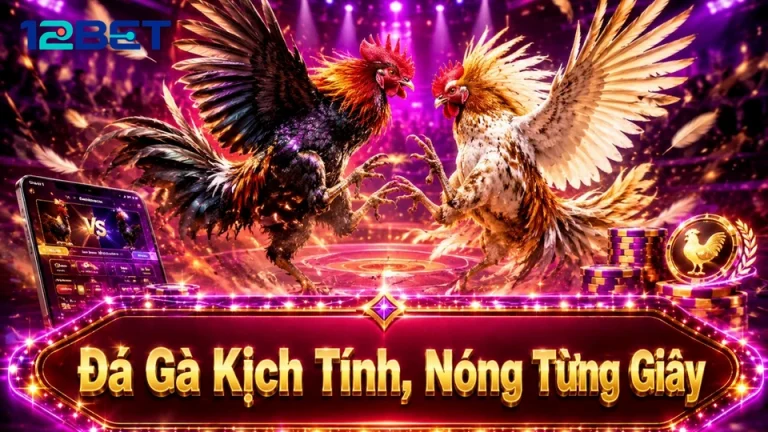 12BETVNMOM 09 Kinh Nghiệm Phiếu Rà Soát — Kế Hoạch Giới Hạn Thời Gian Và